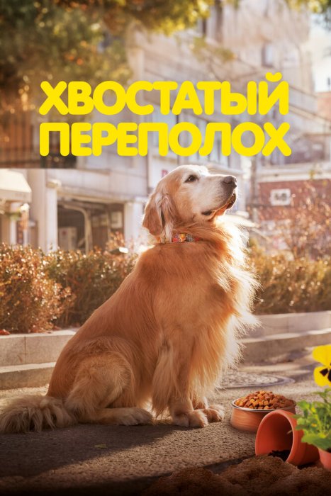 Постер Хвостатый переполох | дорамкин Постер Хвостатый переполох | дорамкин